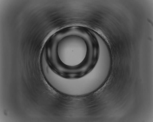 X0000093221181200709261625