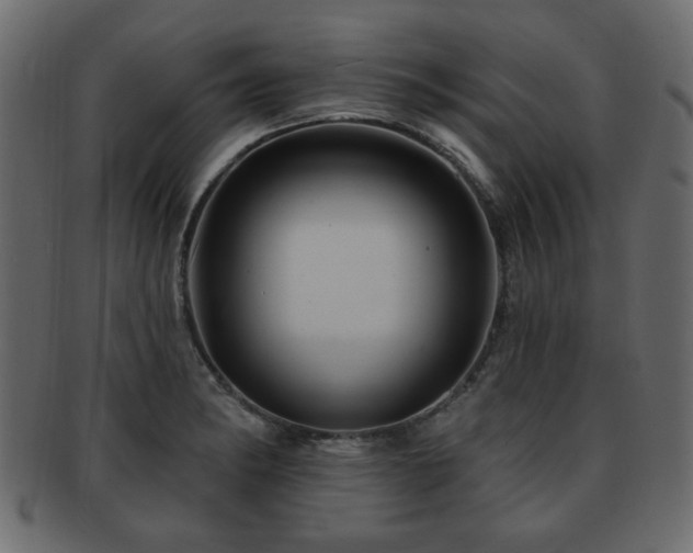 X0000093221182200709261625