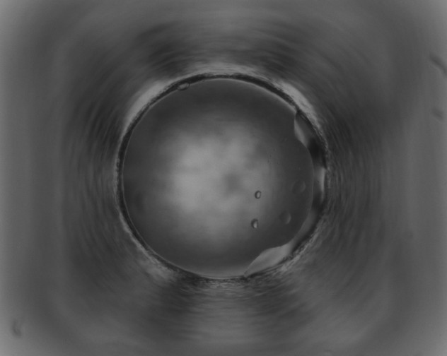 X0000093221183200709261625