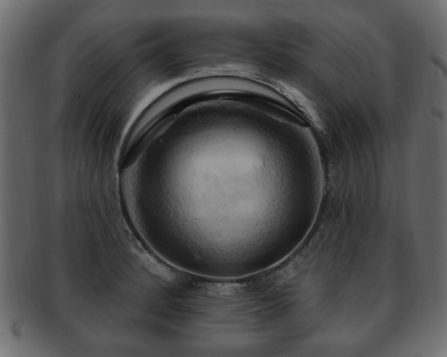 X0000093221184200709261625