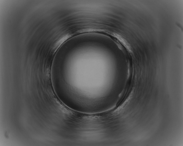 X0000093221185200709261625