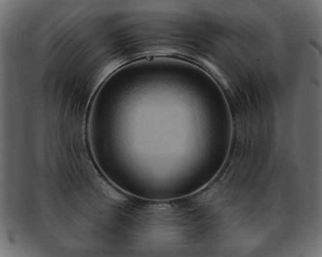 X0000093221186200709261625