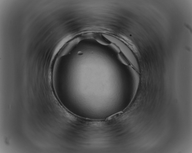 X0000093221188200709261625