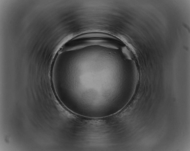 X0000093221189200709261625