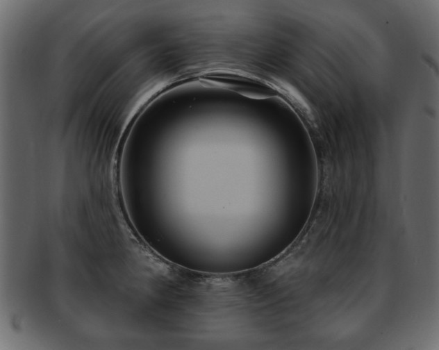 X0000093221190200709261625