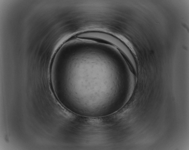 X0000093221191200709261625