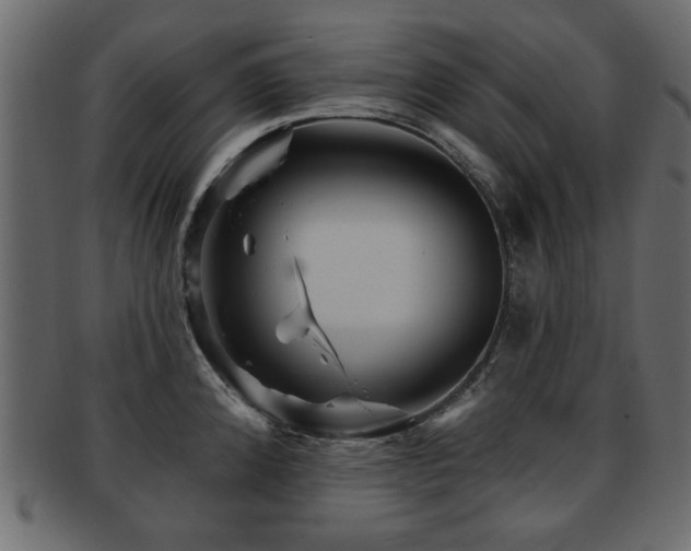 X0000093221192200709261625