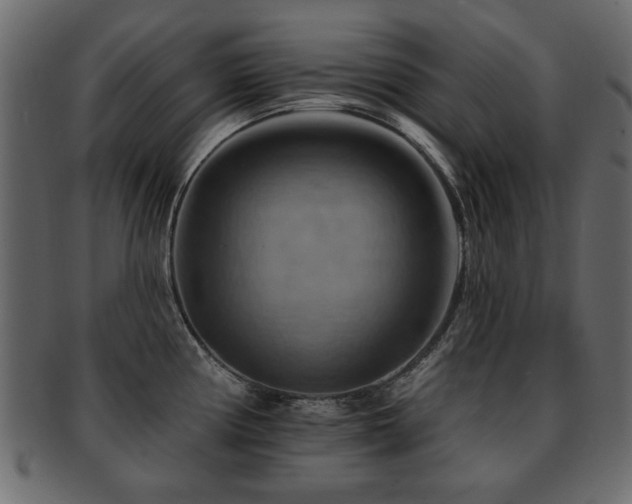 X0000093221194200709261625