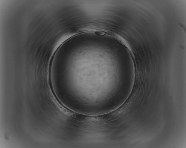 X0000093221195200709261625