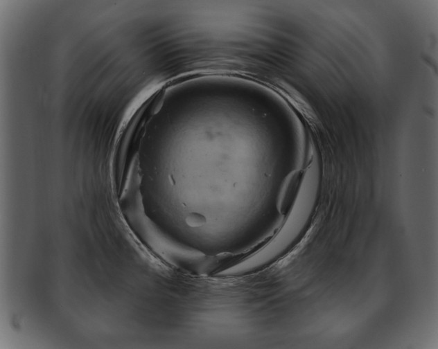 X0000093221196200709261625