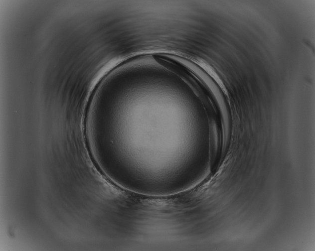 X0000093221197200709261625