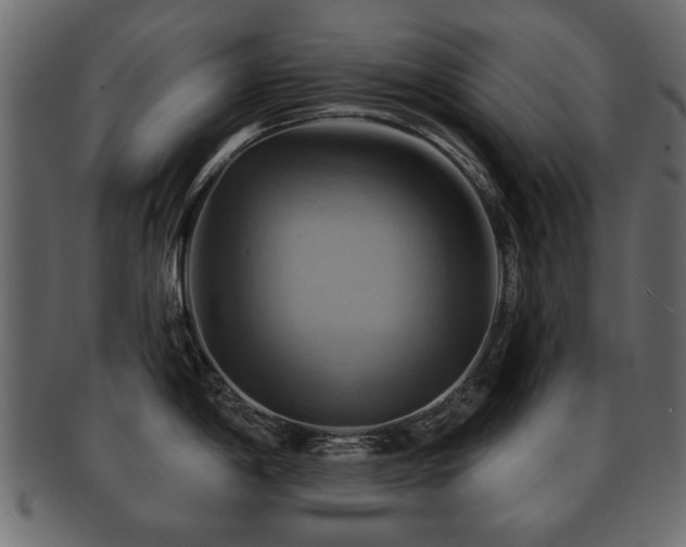 X0000093221198200709261625
