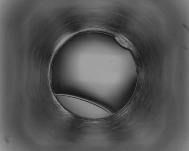 X0000093221199200709261625