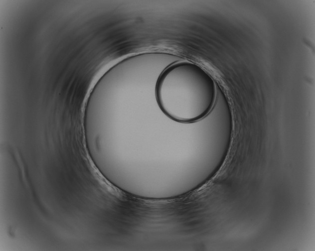 X0000093221200200709261625