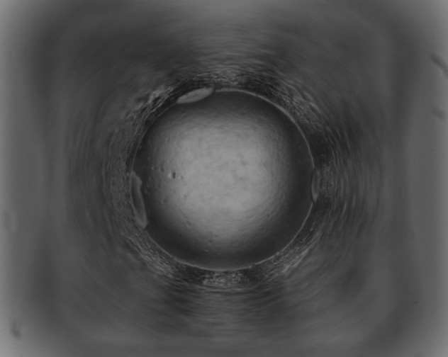 X0000093221201200709261625