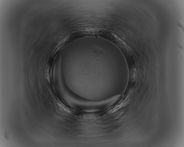 X0000093221202200709261625
