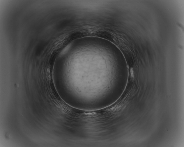X0000093221203200709261625
