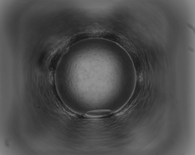 X0000093221204200709261625