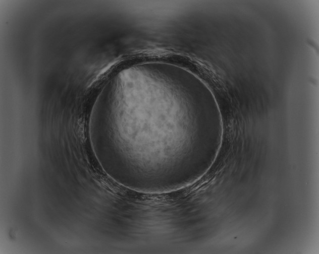 X0000093221205200709261625