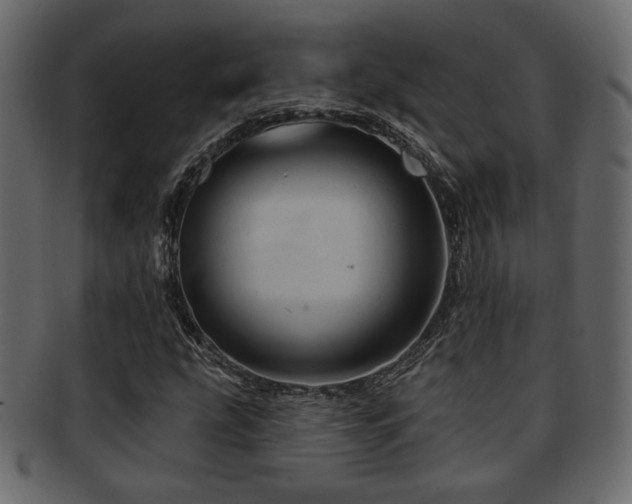 X0000093221207200709261625