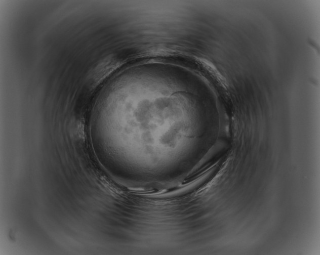 X0000093221209200709261625