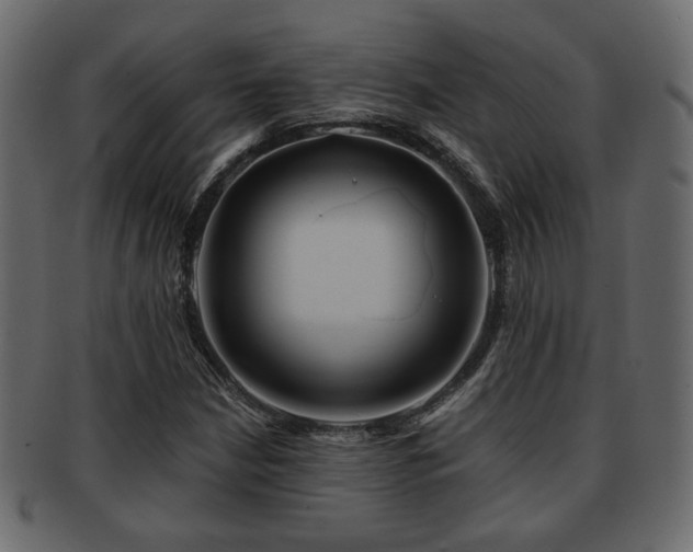 X0000093221210200709261625