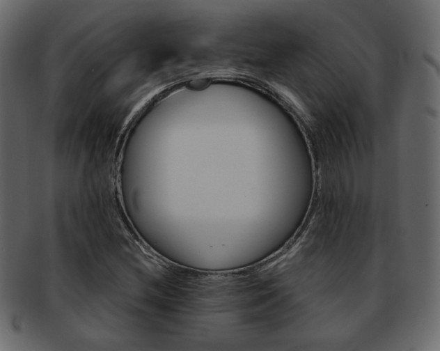 X0000093221212200709261625