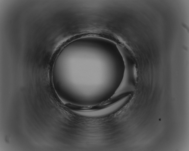 X0000093221214200709261625