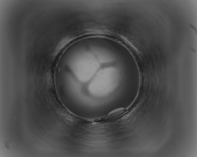 X0000093221215200709261625