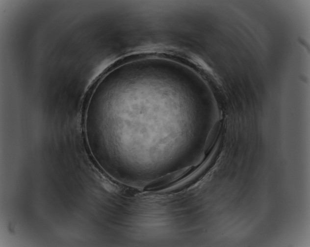 X0000093221216200709261625