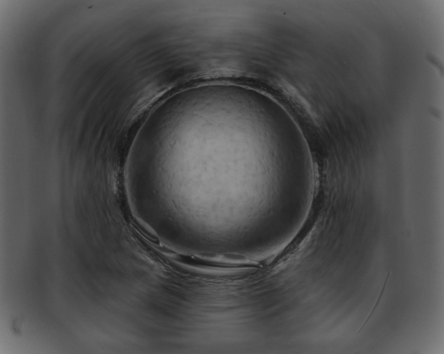 X0000093221217200709261625