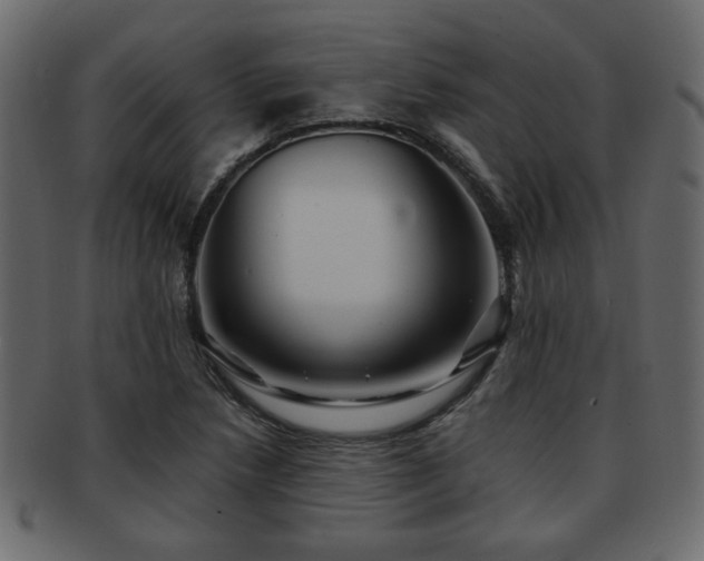 X0000093221218200709261625