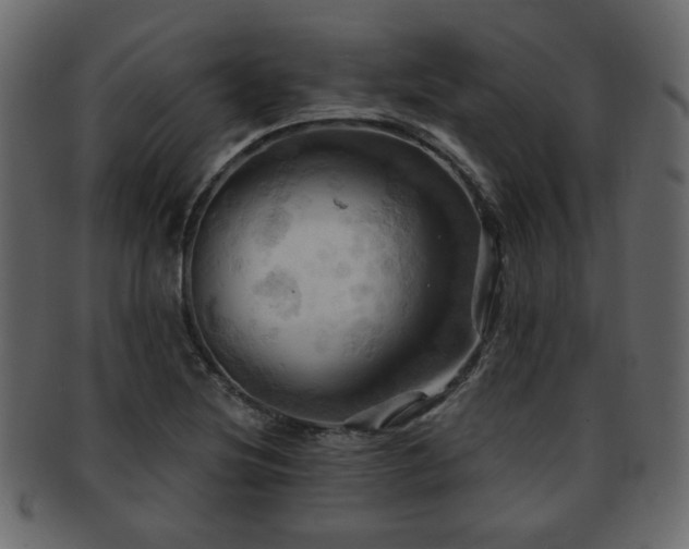 X0000093221220200709261625