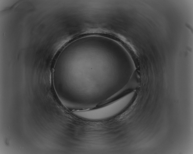 X0000093221221200709261625