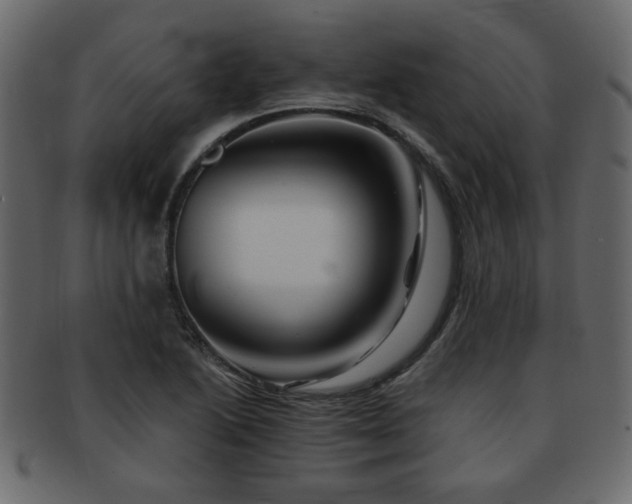 X0000093221222200709261625