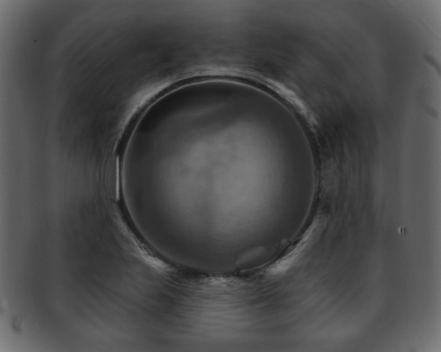 X0000093221223200709261625