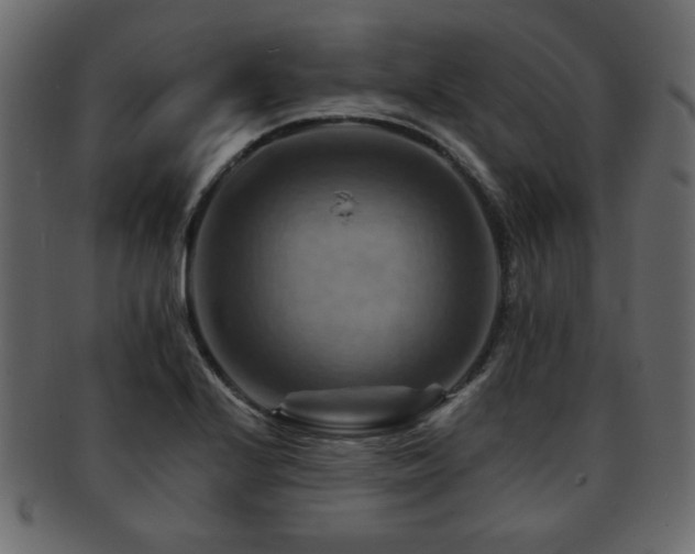 X0000093221224200709261625