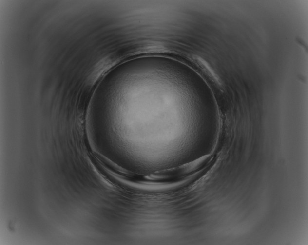 X0000093221225200709261625
