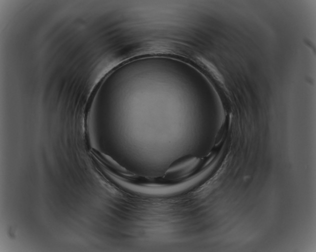 X0000093221226200709261625