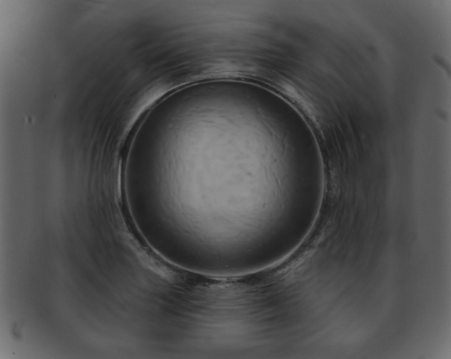 X0000093221227200709261625