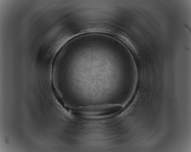 X0000093221228200709261625