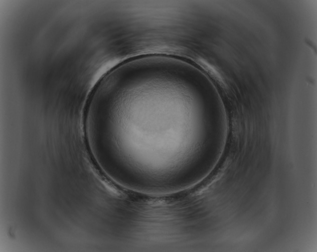 X0000093221230200709261625