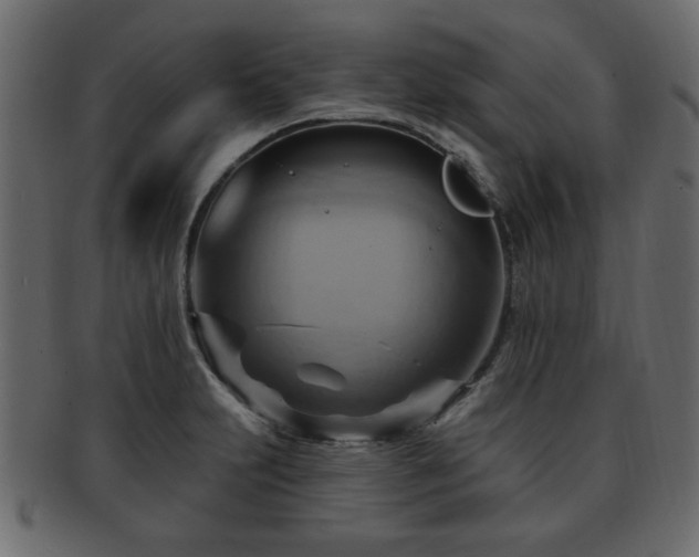 X0000093221231200709261625