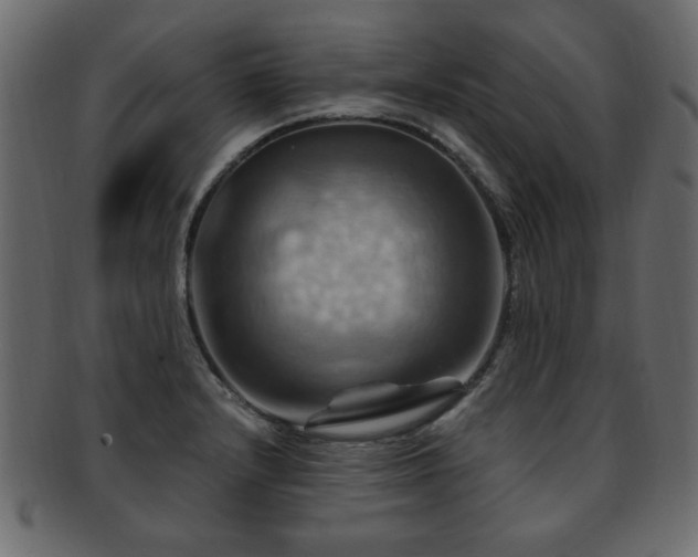 X0000093221232200709261625