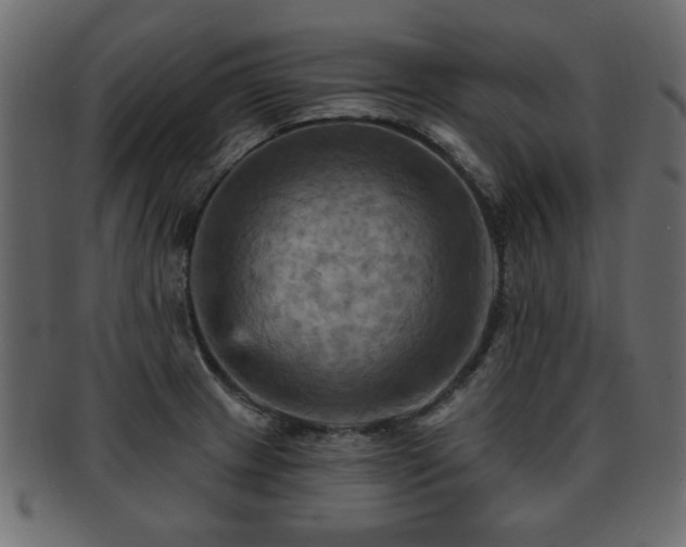 X0000093221233200709261625