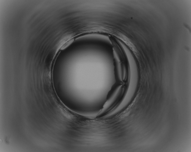 X0000093221234200709261625
