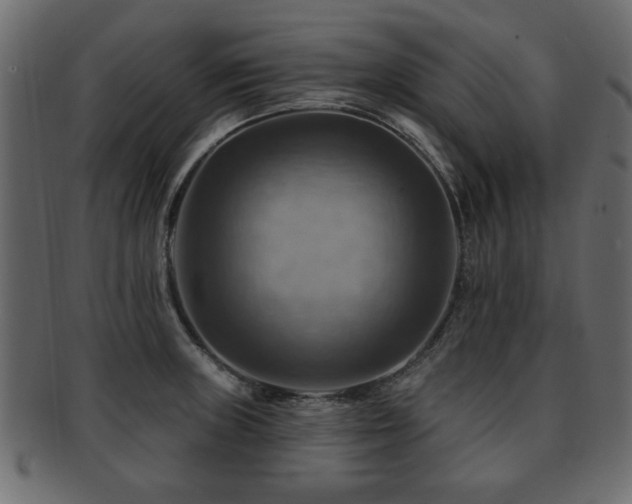 X0000093221235200709261625