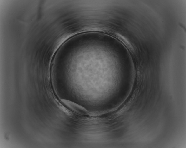 X0000093221236200709261625