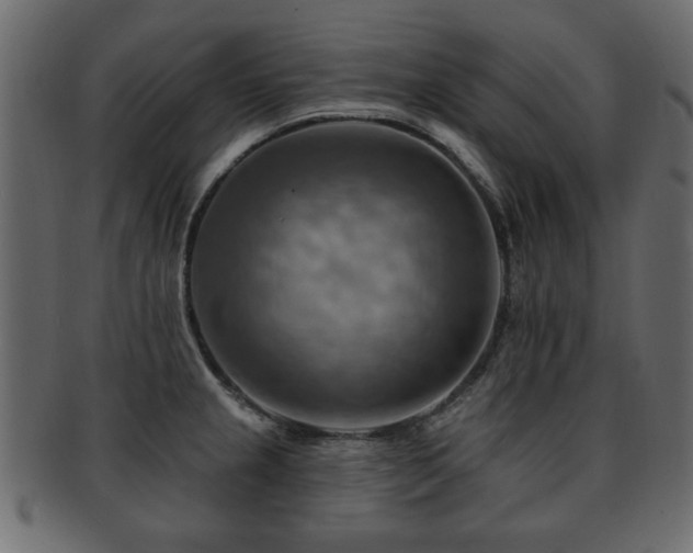X0000093221237200709261625