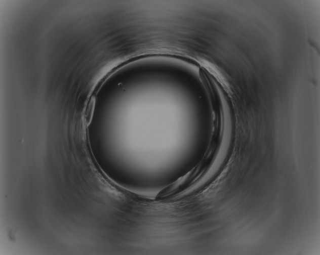 X0000093221238200709261625